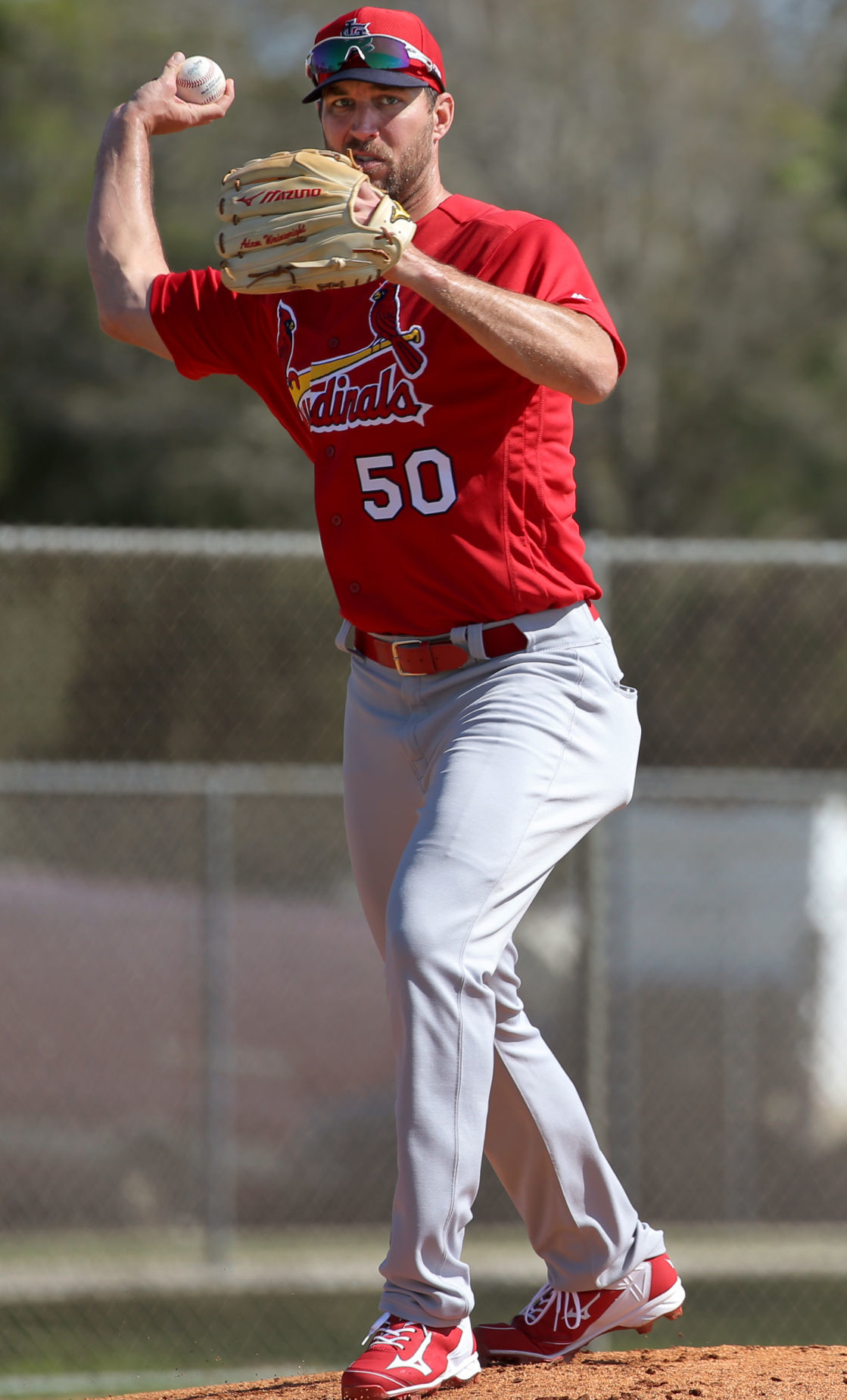 2019 Cardinals spring training